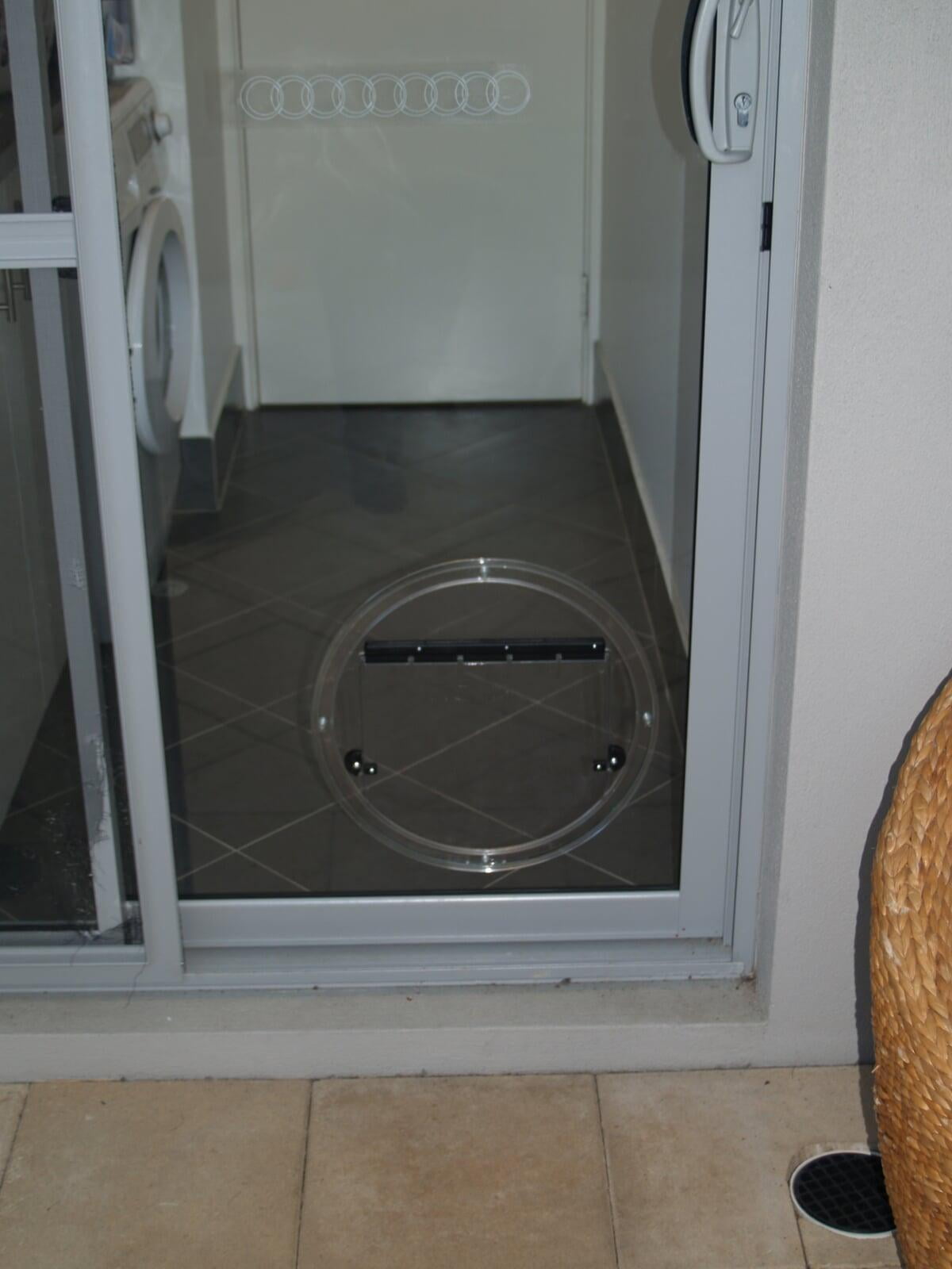 Dog Doors Glass100